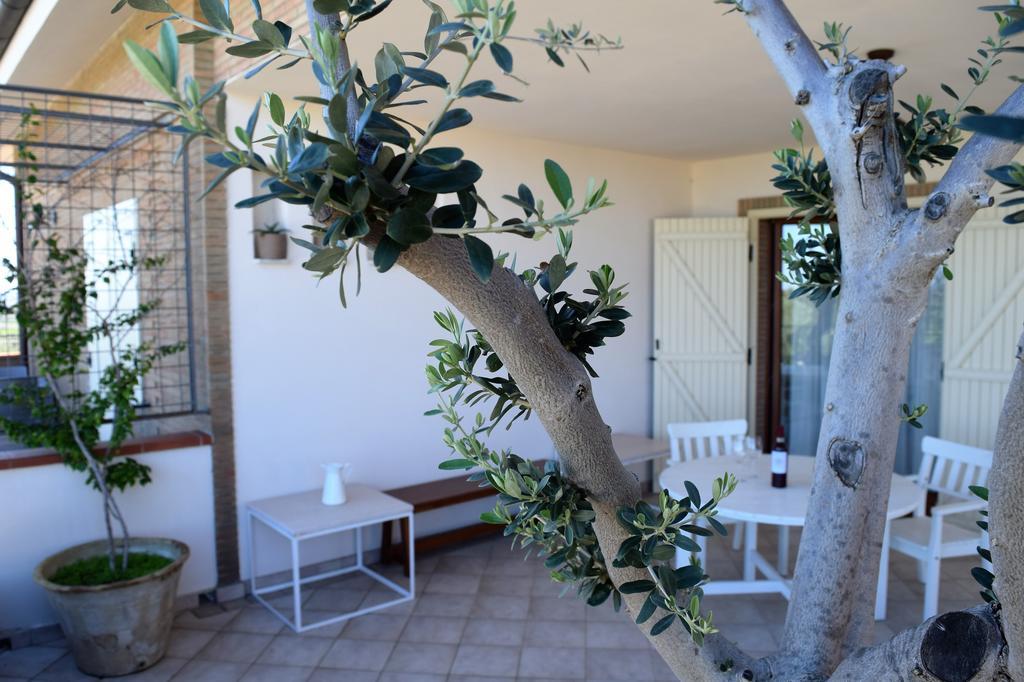 Le Nicchie Guest House Lucera Værelse billede